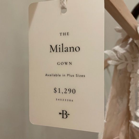 BHLDN Milano Gown size 4 - Picture 5 of 6
